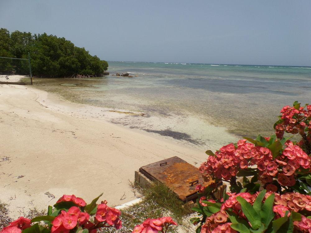 Reggae Reef All Inclusive Hotel Montego Bay Exterior photo